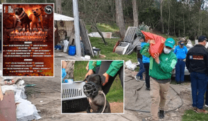 ¡Horror en La Calera! Desmantelan macabro torneo de peleas de perros